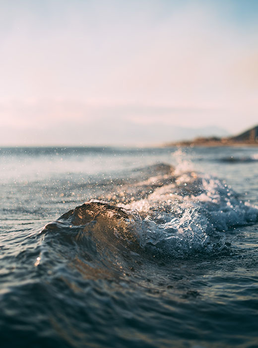 delfinstrategien-susanne-braack-landing-waves